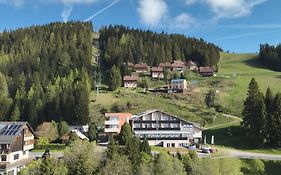 Hotel Alpengasthof Hochegger
